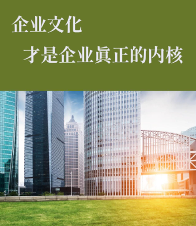 海南经济特区跨境电商整体服务方案设计与实施要点